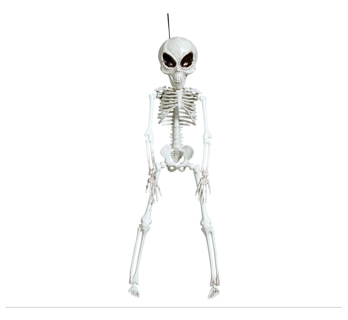 Halloween Hangdecoratie Skelet 42cm