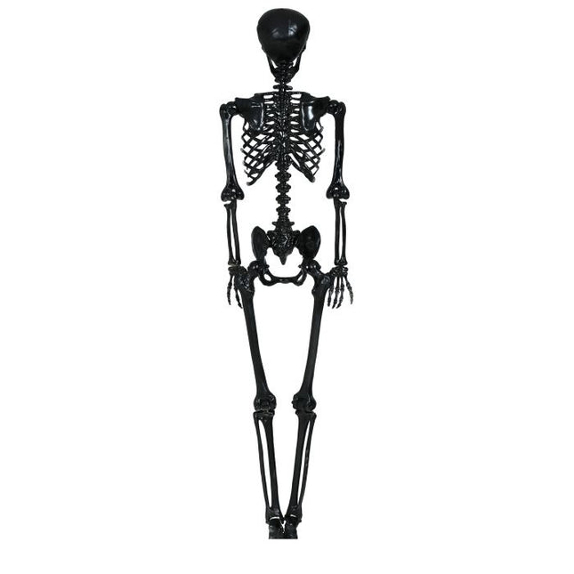 Halloween Hangdecoratie Zwart Skelet 1,6m