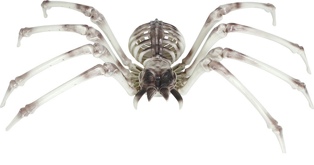 Halloween Skelet Spider 85cm