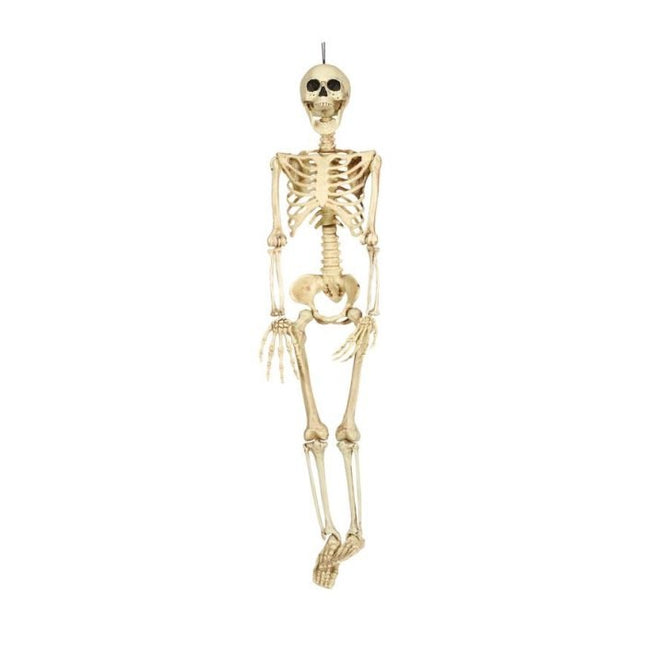 Halloween Skelet 90cm