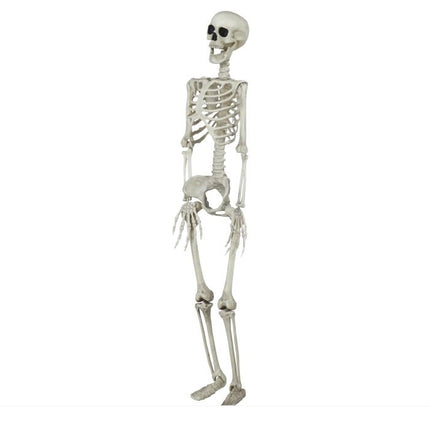 Halloween Skelet 90cm