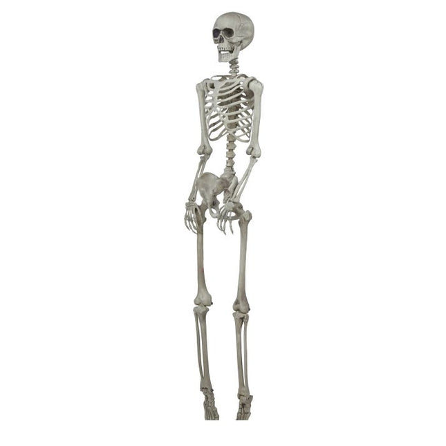 Halloween Skelet 1,6m