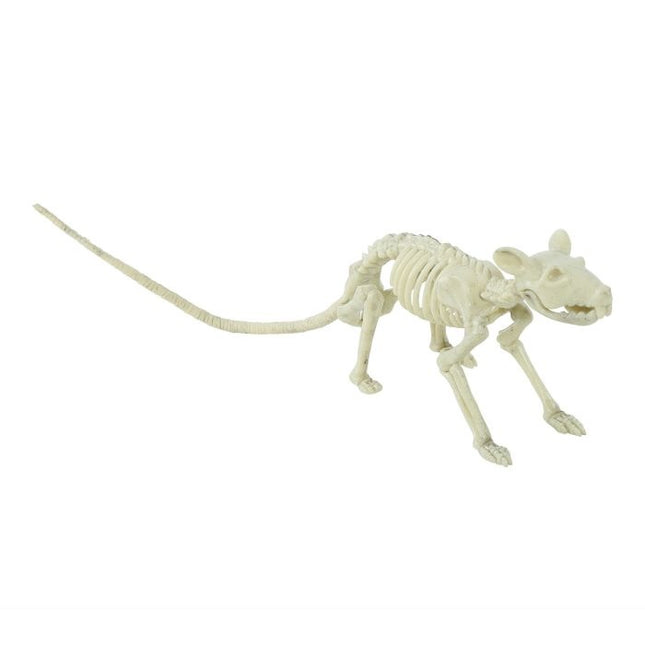 Halloween Ratten Skelet 20cm