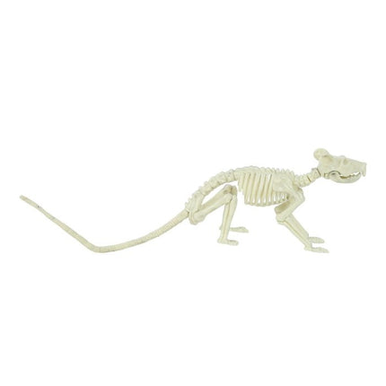 Halloween Ratten Skelet 20cm