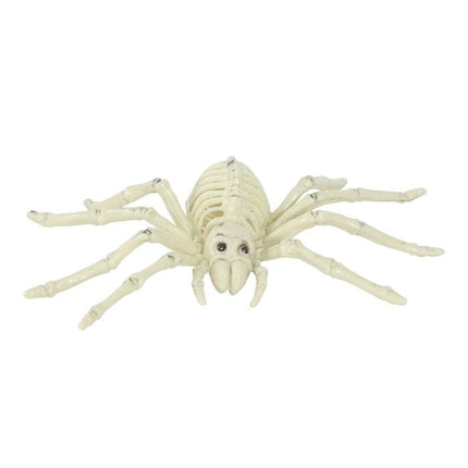 Halloween Spinnen Skelet 24cm