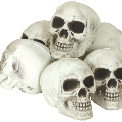 Set of 6 skulls 8cm