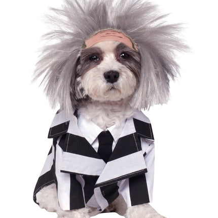 Beetlejuice Honden Kostuum