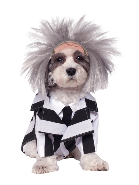 Beetlejuice Honden Kostuum