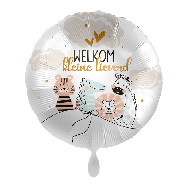 Helium Ballon Welkom kleine lieverd