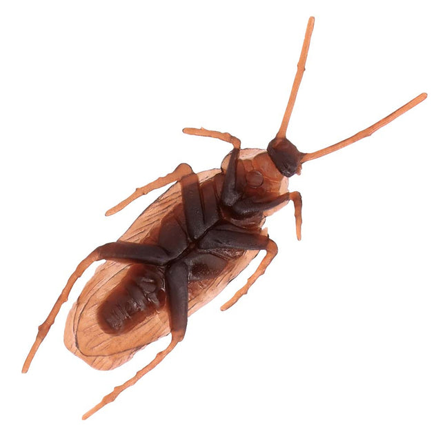 Halloween Kakkerlakken 7,5cm 6st