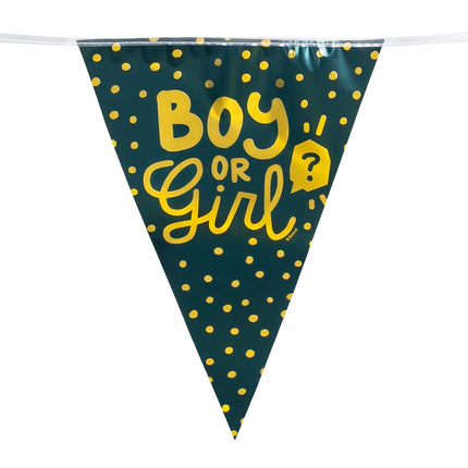 Gender Reveal Slinger Boy Or Girl 6m