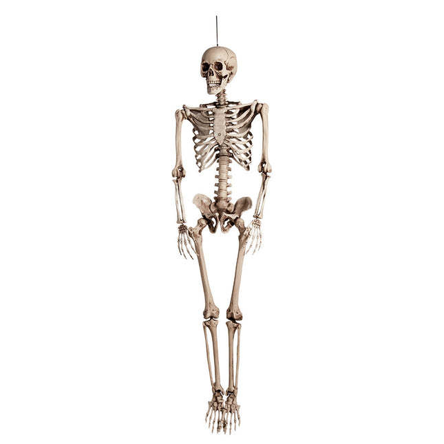 Halloween Pop Skelet 160cm