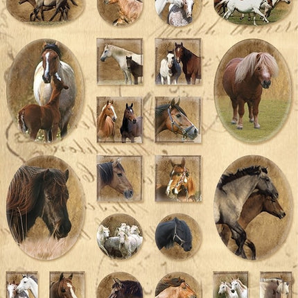 Paarden Stickers