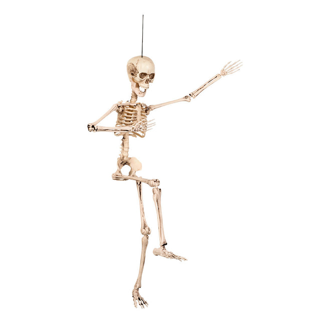 Halloween Skelet 50cm