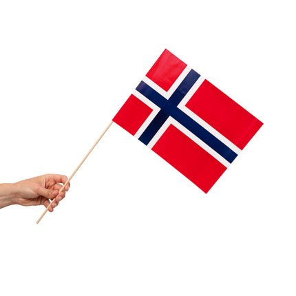 Noorwegen Vlag 10st