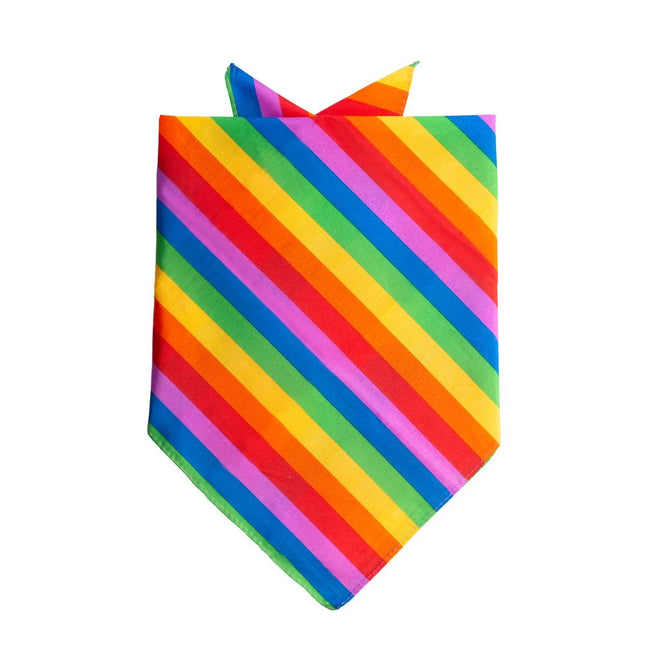 Bandana Regenboog 55cm