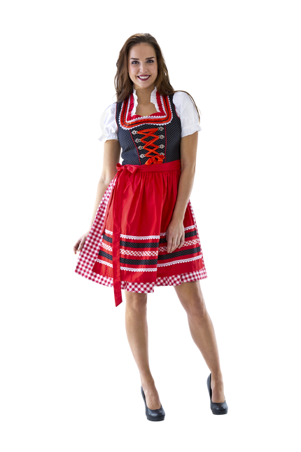 Rood Witte Dirndl Jurk Oktoberfest Dames Geruit