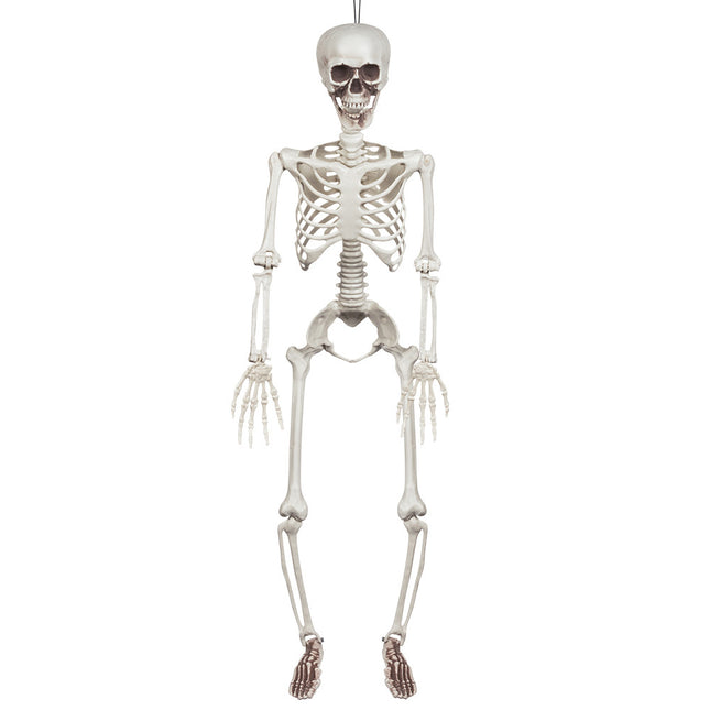 Halloween Skelet Wit 90cm