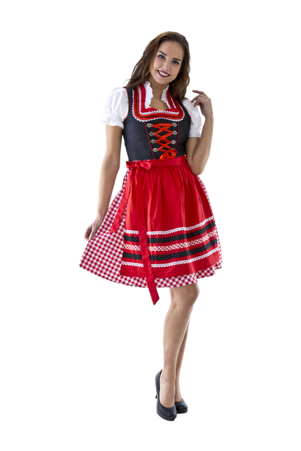 Rood Witte Dirndl Jurk Oktoberfest Dames Geruit