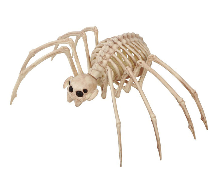 Halloween Tarantula Skelet 35x20cm