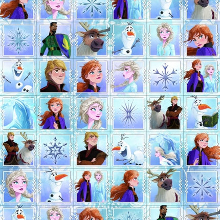 Frozen Stickers Klein