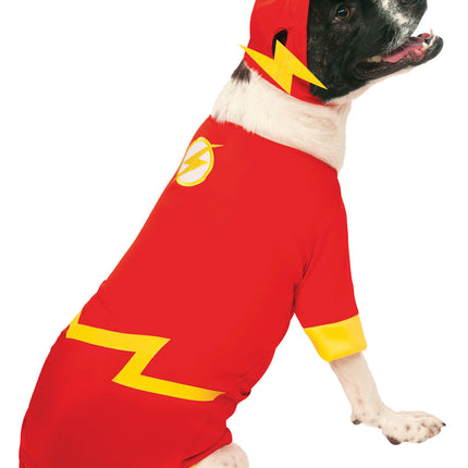 Flash Pet Costume