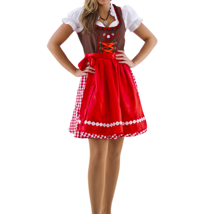 Dirndl bruin-rood/wit geruit