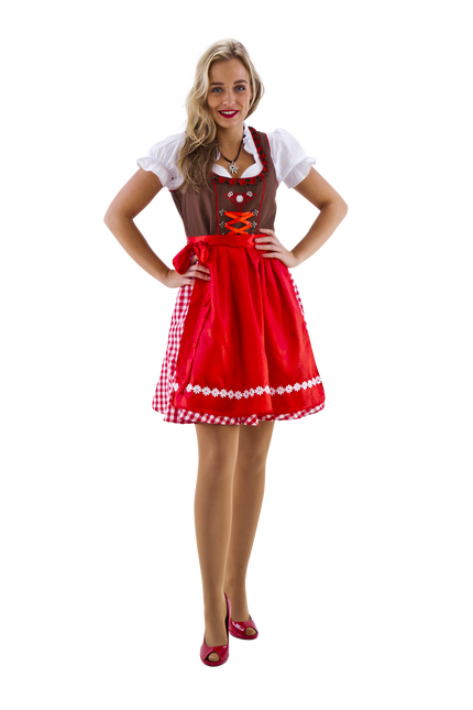 Dirndl bruin-rood/wit geruit