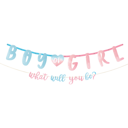 Gender Reveal Letterslinger 2 delig