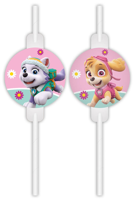 Paw Patrol Rietjes Skye And Everest 4st