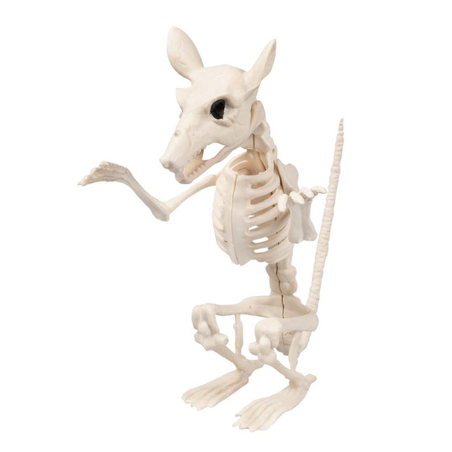 Halloween Rattenskelet 18cm