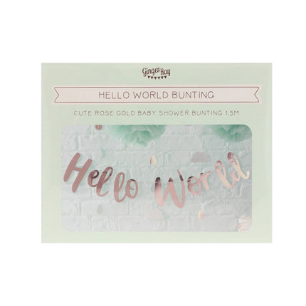 Rose Gouden Letterslinger Hello World 1,5m