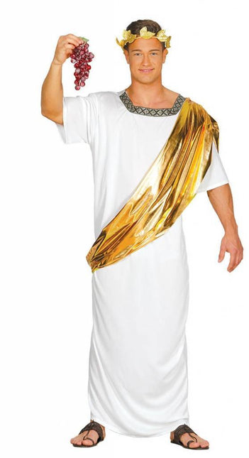 Caesar Kostuum Romeins