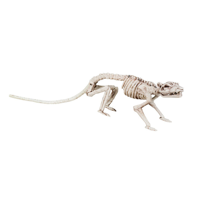 Halloween Skelet Rat 35cm
