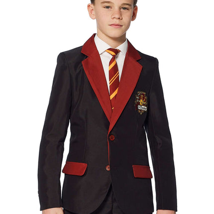 Harry Potter Pak Jongen Gryffindor