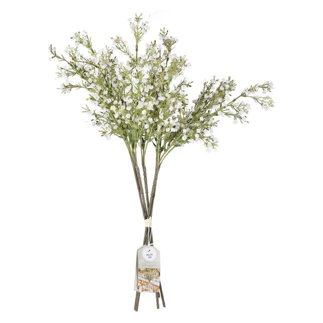 Droogbloemen Gypsophilia Stems 40cm 5st