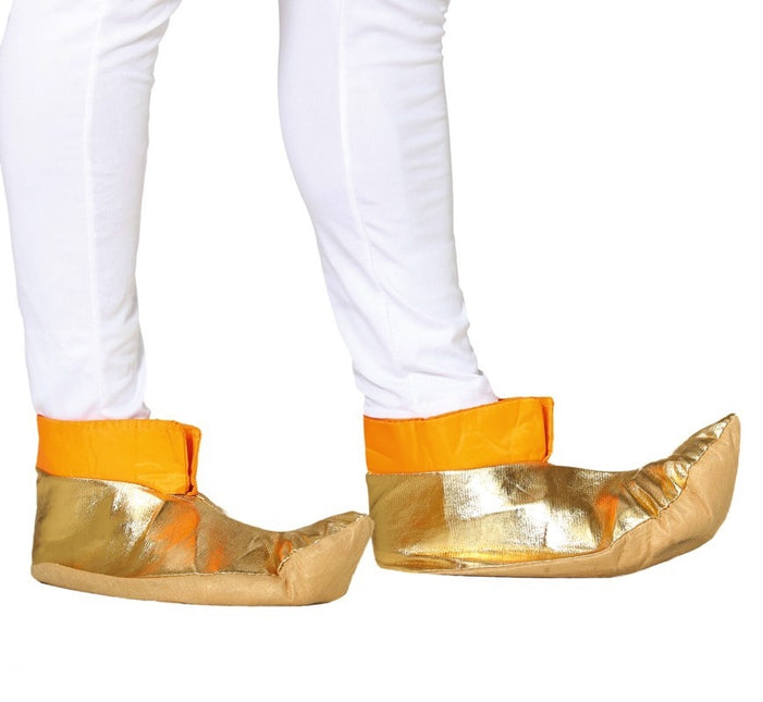 Aladdin Schoenen