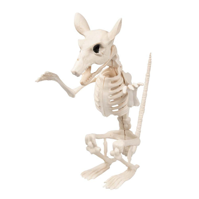 Halloween Rattenskelet 18cm
