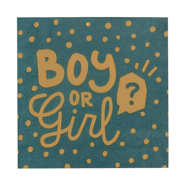 Servetten Boy Or Girl Papier 33cm