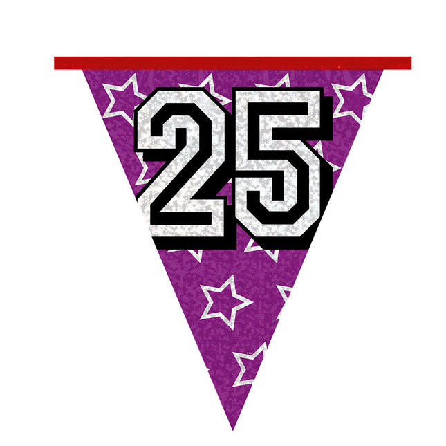 Slingers 25 Jaar Glitter 8m