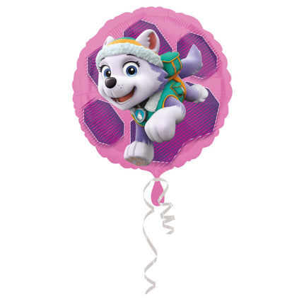 Paw Patrol Helium Ballon Skye & Everest 43cm leeg