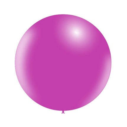 Fuchsia Reuze Ballon 60cm