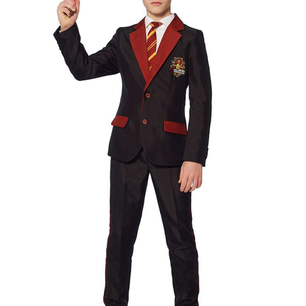 Harry Potter Pak Jongen Gryffindor