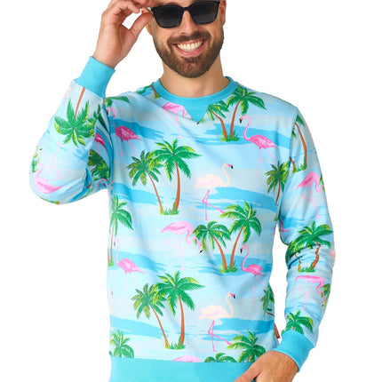 Hawaii Flamingo Trui Heren OppoSuits