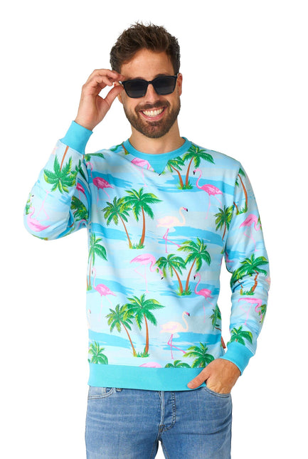 Hawaii Flamingo Trui Heren OppoSuits