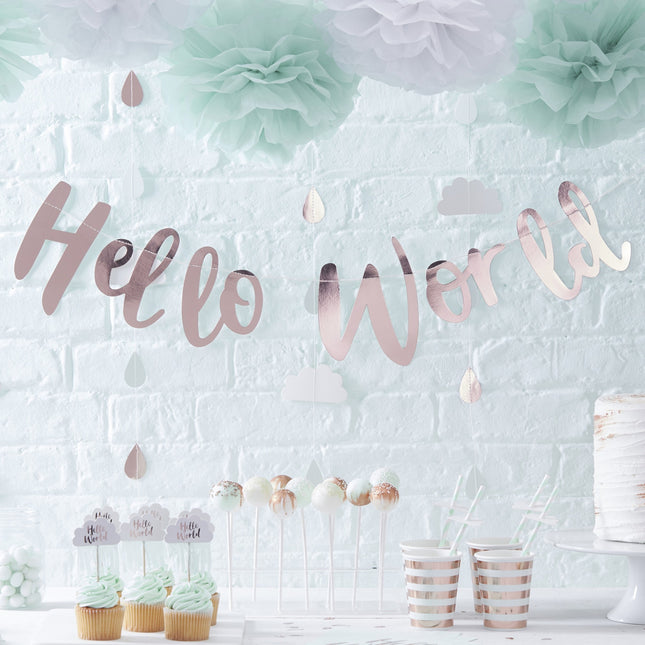 Rose Gouden Letterslinger Hello World 1,5m