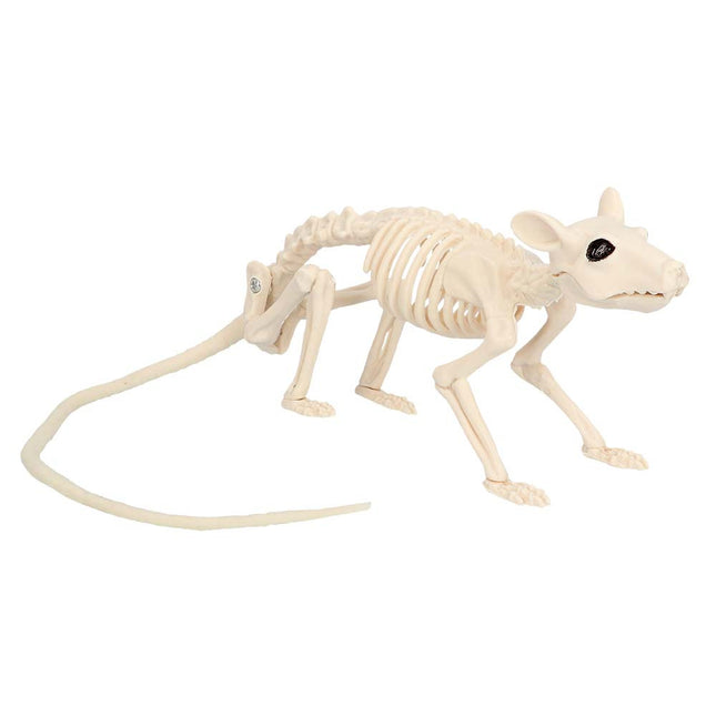 Halloween Ratskelet 46cm