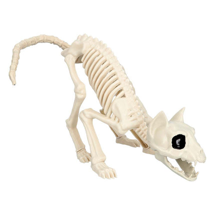 Halloween Kattenskelet 51cm