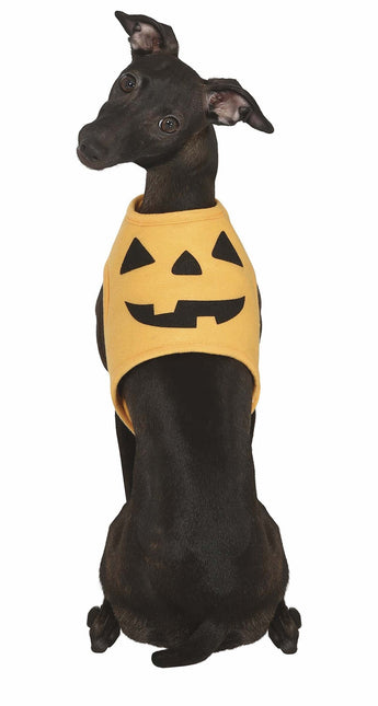 Halloween Dieren Kostuum Pompoen Mascotte