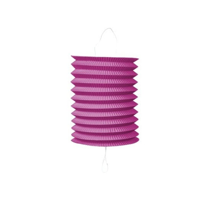 Fuchsia Lampion Trek 16cm